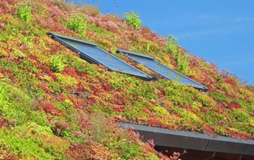 Slatepit Dale living roof systems