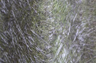 Slatepit Dale fibreglass roof work